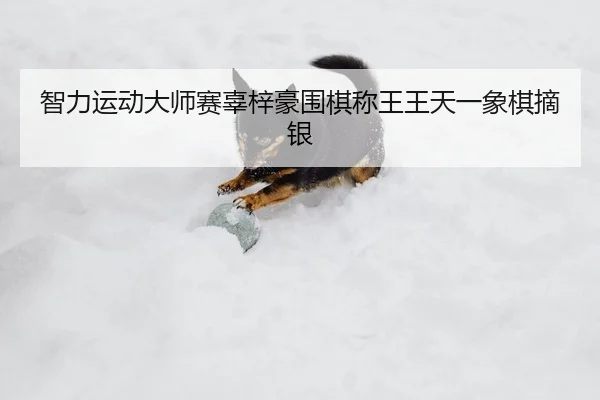 智力运动大师赛辜梓豪围棋称王王天一象棋摘银